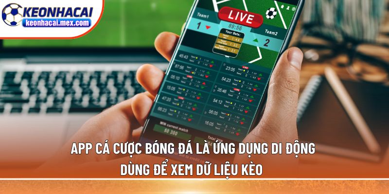 App cá cược bóng đá là ứng dụng di động dùng để xem dữ liệu kèo  