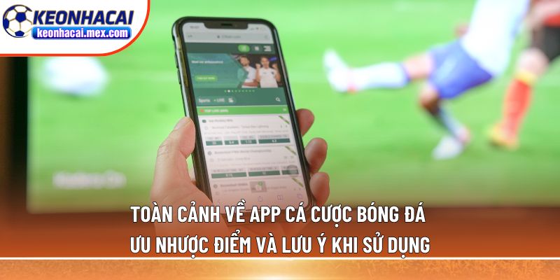 App cá cược bóng đá