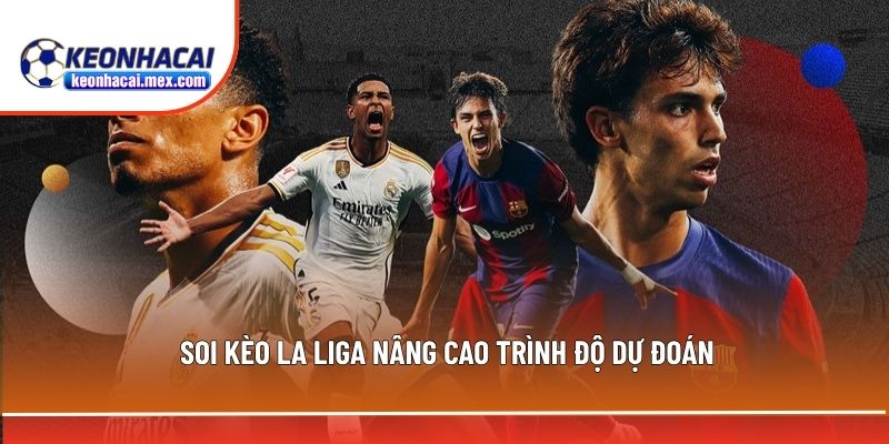 Nâng độ chính xác khi dự đoán kết quả