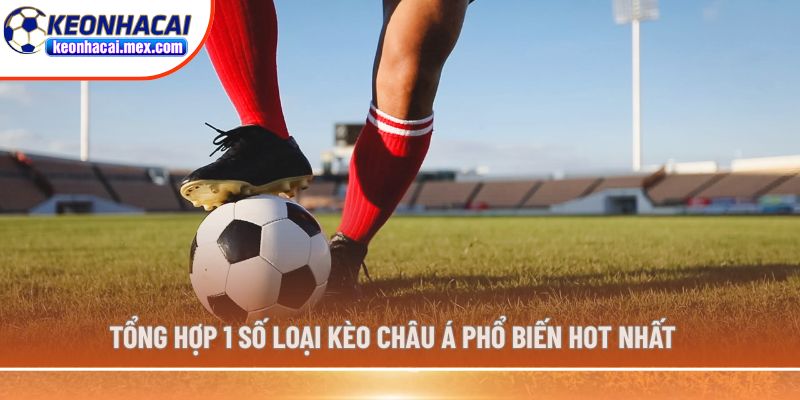Tổng hợp 1 số loại kèo Châu Á phổ biến hot nhất