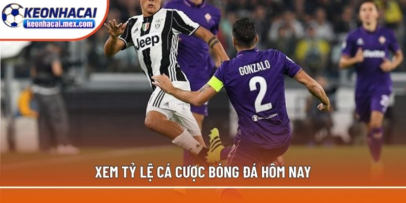 Xem tỷ lệ cá cược bóng đá hôm nay